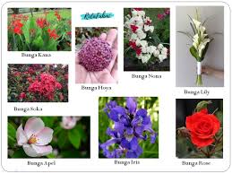 The royal horticultural society memilih nama. Nama Bunga Tts 4 Huruf Brainly Co Id