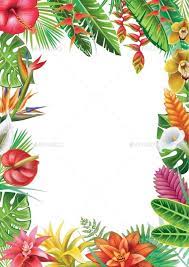 Frame From Tropical Plants Flower Illustration Tropical Illustration Tropical Frames