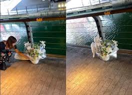 Thậm chí, một nam thanh niên vừa quay lại toàn bộ sự việc vừa hô hào cổ vũ: Iciysqyvxmp61m