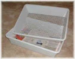 We did not find results for: Pin On Pets