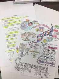 Ap Biology Biochemistry Basics Pogil Answer Key A Sample Unit Plan Using Sketch Notes Cellular Molecular Biology Cell Size Chromosomes Cell Cycle Meiosis In 2020 Molecular Biology Cell Cycle Sketch Notes