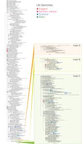We at acprail would like take this opportunity to update you on our current global status. Update Report Of Covid 19 In Scotland Continuing Introductions Transmissions Genome Reports Virological
