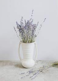 Dried flowers └ dried botanicals & potpourri └ floral crafts └ home arts & crafts └ crafts all categories antiques art automotive baby books natural artificial dried flowers lavender for home party photography decor. Pin By Priscila Peters On Love Flower Vases Dried Flower Arrangements Dried Flowers