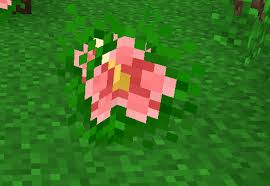 Biomes O Plenty Wiki Pink Hibiscus Hibiscus Pink Hibiscus Flowers