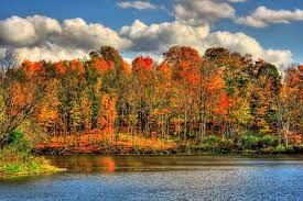 Fall For Desktop Hd 1920x1280 Desktop Wallpaper Wallpaper Autumn