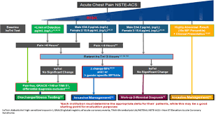 Looking for online definition of nste or what nste stands for? Abbott Proposed Algorithm For Triage Of Nste Acs Non St Segment Download Scientific Diagram
