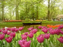 The beautiful flower shops of our florists feature a variety of flower bouquets to suit all occasions. 99 Wow Keukenhof World S Largest Flower ParkÙƒÙˆÙŠÙƒÙ†Ù‡ÙˆÙ Ø£ÙƒØ¨Ø± Ø­Ø¯ÙŠÙ‚Ø© Ø²Ù‡ÙˆØ± ÙÙŠ Ø§Ù„Ø¹Ø§Ù„Ù…