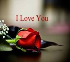 Download Red Rose I Love You Quote Heart Touching Love Quote For Your Mobile Cell Phone I Miss You Wallpaper Miss You Images Missing You Love