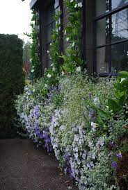 L Automne Chez Detroit Garden Works Garden Works Small Patio Garden Window Box