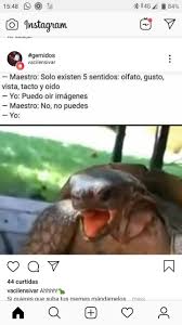 Pin De Akane Sama En Memes Otakus Memes Imagenes Para Maestros Memes Otakus