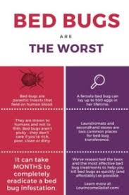 Are you as a tenant responsible for pest control costs? Do Landlords Pay For A Bed Bug Exterminator Low Income Relief