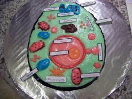 We did not find results for: Animal Cell Model Ideas For Your Science Project Easy And Creative Edible Animal Cell Edible Cell Animal Cell
