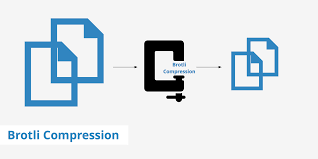 Image result for brotli