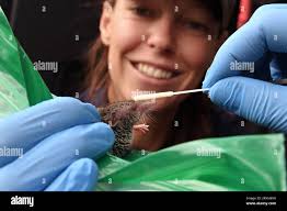 Cheb region -Fotos und -Bildmaterial in hoher Auflösung