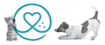 Although they offer an unlimited payout amount, you can also choose a $5,000 annual payout amount to give you lower premiums. Find Pet Insurance Naphia