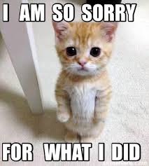 Meme Creator Funny I Am So Sorry For What I Did Meme Generator At Memecreator Org