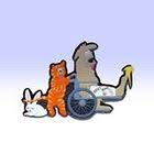 pin on emergency pet care