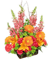 The team at anything with plants. Jacksonville Florist Jacksonville Fl Flower Shop St Johns Flower Market