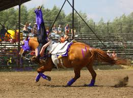 Trick Riding Shoulder Stand Google Search Trick Riding Equestrian Riding Riding