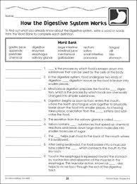 Human Body Grades 4 6 021611 Details Rainbow Resource Center Inc Human Body Worksheets Body Systems Worksheets Digestive System Worksheet