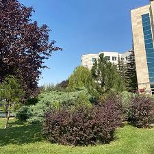 Başkent üniversitesi haberleri, son dakika başkent üniversitesi haber ve gelişmeleri burada. Baskent Universitesi Picture Of Baskent University Ankara Tripadvisor