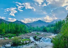 The majority of this funding was programmed through international organizations and, … Kabul Afghanistan Visit Afghanistan Wild Beautiful Facebook