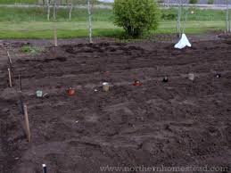 Maybe you would like to learn more about one of these? To Till Or Not To Till The Garden Northern Homestead