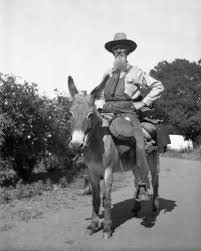 86_15900-273 Howard Brewster July 1906.