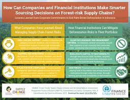 5) plant trees while you search Illegal Logging Has To Be Stopped Here S How World Economic Forum
