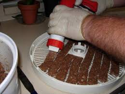 Ground beef is so easy to cook with — you just brown it up, add in your favorite seasonings, and it's good to go. Pin On Food Dehydrator Stuffs