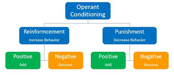 This is an online quiz called operant conditioning. Operant Conditioning The Peak Performance Center