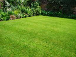 Can you seed an existing lawn. How To Restore A Lawn Full Of Weeds This Old House
