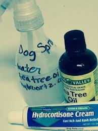 0beaa3c754354aba08674812204acbf5 Jpg 736 981 Dog Skin Remedies Dog Skin Care Dog Remedies