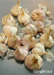 carol 自在生活 大蒜 garlic chinese dessert cooked vegetables vegetables
