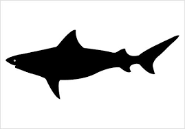 Shark Silhouette Graphics Shark Silhouette Fish Silhouette Silhouette Art