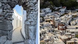 Image result for Sorindeia rhodesica