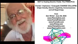 YouTube Video Statistics for KEY to Healing Electric Fields: The  PRINCIPLE:Fractal