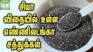 Countless Vitamins In Chia Seeds ச ய வ த ய ல உள ள எண ண லடங க சத த க கள Youtube