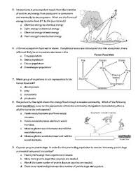 How buffalo wings, hot dog buns, nachos, and more classic american foods came to be. Food Chain Web Energy Pyramid Quiz Form B By Patton Pedagogy Products