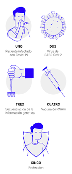 La vacuna experimental contra el coronavirus de cansino biologics tiene una tasa de eficacia del 65.7 por después, cansino remitió el anuncio de sultan en un comunicado. 52 Proyectos 6 Tecnologias Un Objetivo Crear La Primera Vacuna Contra El Covid 19