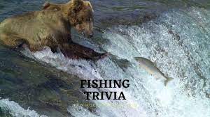Fish trivia is all about the creatures that are a great source of food for humans. 101 Fishing Trivia Facts Questions With Answers Printable Trivia Qq