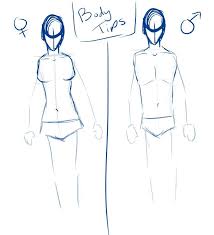 Finally.some well drawn anatomy of keith. Male Vs Female Body Tutorial Anime Art Amino