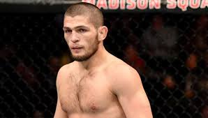 Картинки по запросу нурмагомедов макгрегор