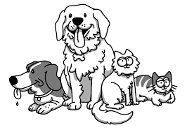 Pet vet animal clinic & mobile is located in huntley city of illinois state. Paws And Claws Veterinary Care Mobile Vet Serving Hollister Gilroy And San Benito County