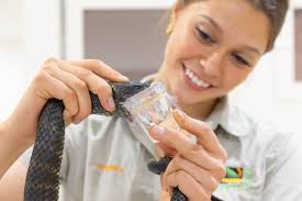 Australian Reptile Park