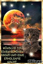 The perfect gutenabend abend guten animated gif for your conversation. Einen Ganz Schonen Abend Wunsche Ich Dir Gute Nacht Lustig Gute Nacht Katze Gute Nacht Grusse