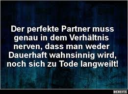 Der Perfekte Partner Muss Genau In Dem Verhältnis Nerven Lustige