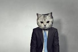 Check spelling or type a new query. Homme D Affaires Avec La Tete De Chat Image Stock Image Du Moderne Reussi 92959655