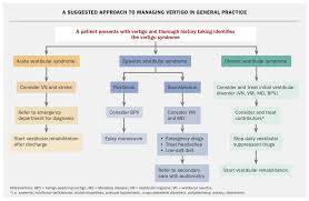 Image result for Vertigo Management
