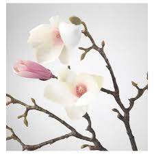Blush magnolias with pink centers adorn this natural looking brown stem. Smycka Magnolia Pink Artificial Flower Ikea
